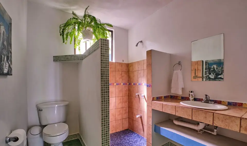 A bathroom used by the shared-bath rooms: tiled shower, red-tiled vanity and a hanging fern