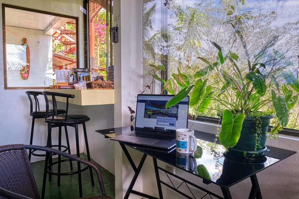 The co-working nook: a laptop on a glass desk, bar stools and plants by the windows