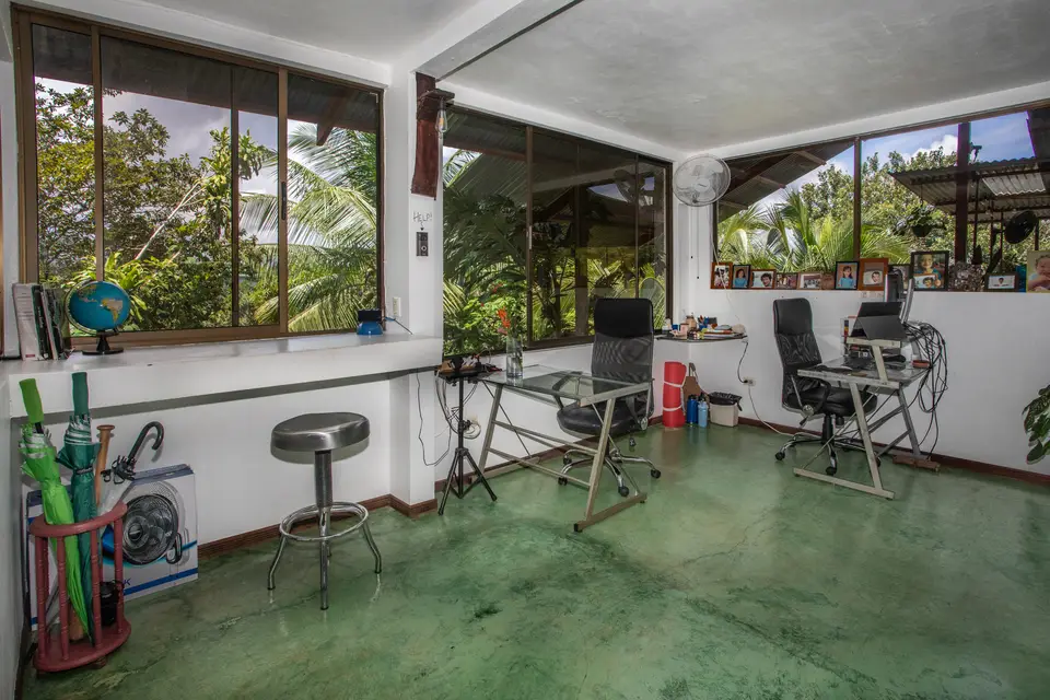 A bright work room with desks, office chairs and windows onto the trees