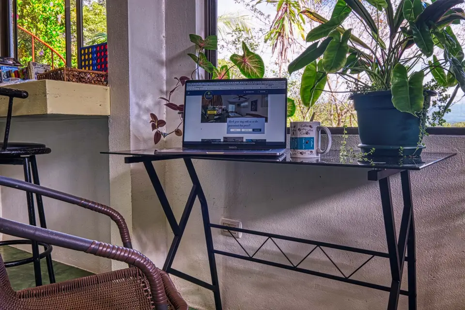 A work desk with a laptop and a potted plant by the window