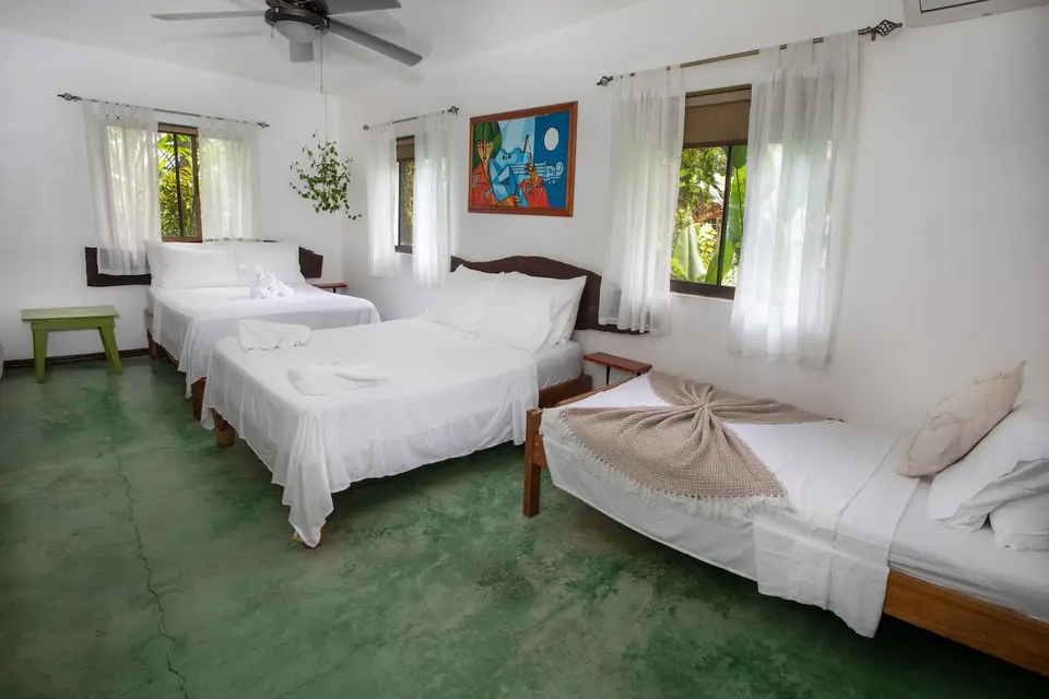 Villa Fresca (Room 1): three beds, plants and a window with natural light