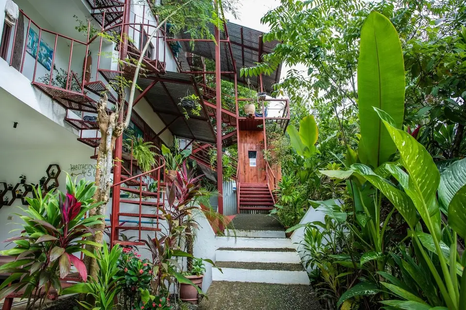 Garden steps with red railings winding between tropical plants to the rooms