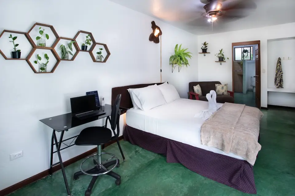 Villa Linda: the queen bed with hanging plants and a pendant lamp