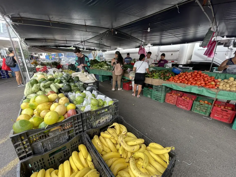 Fruit and vegetable stalls at the Quepos farmers market