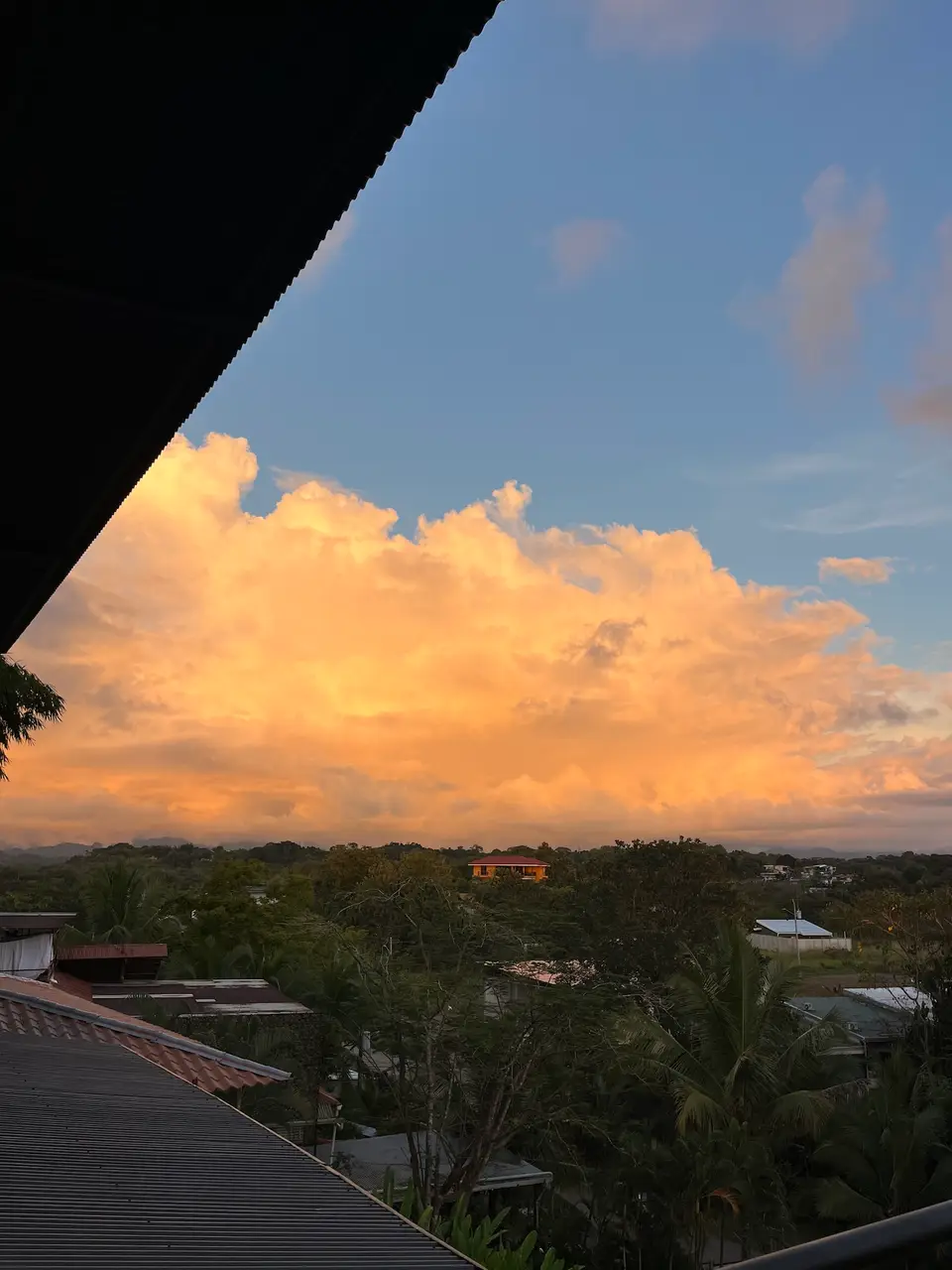 Golden clouds over the treetops, seen from the Bird’s Nest Apartment