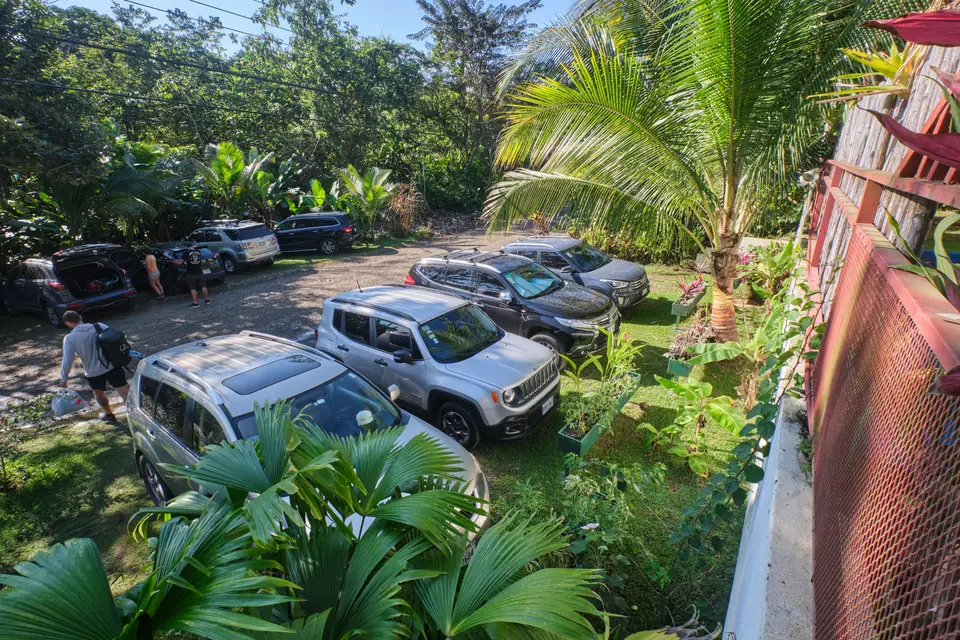 The free off-street parking, seen from above through the palms