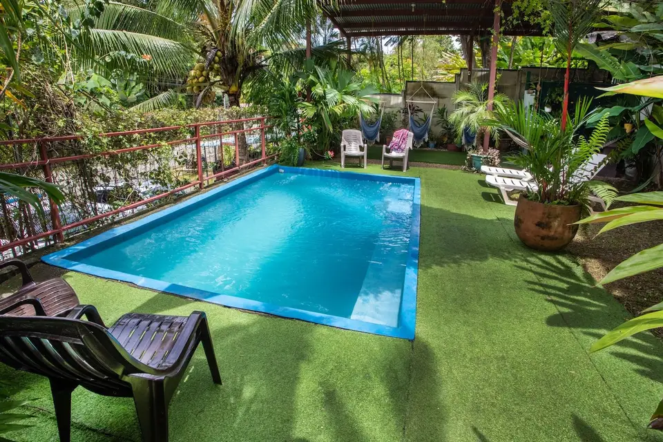 The turquoise pool surrounded by green turf, loungers and tropical plants