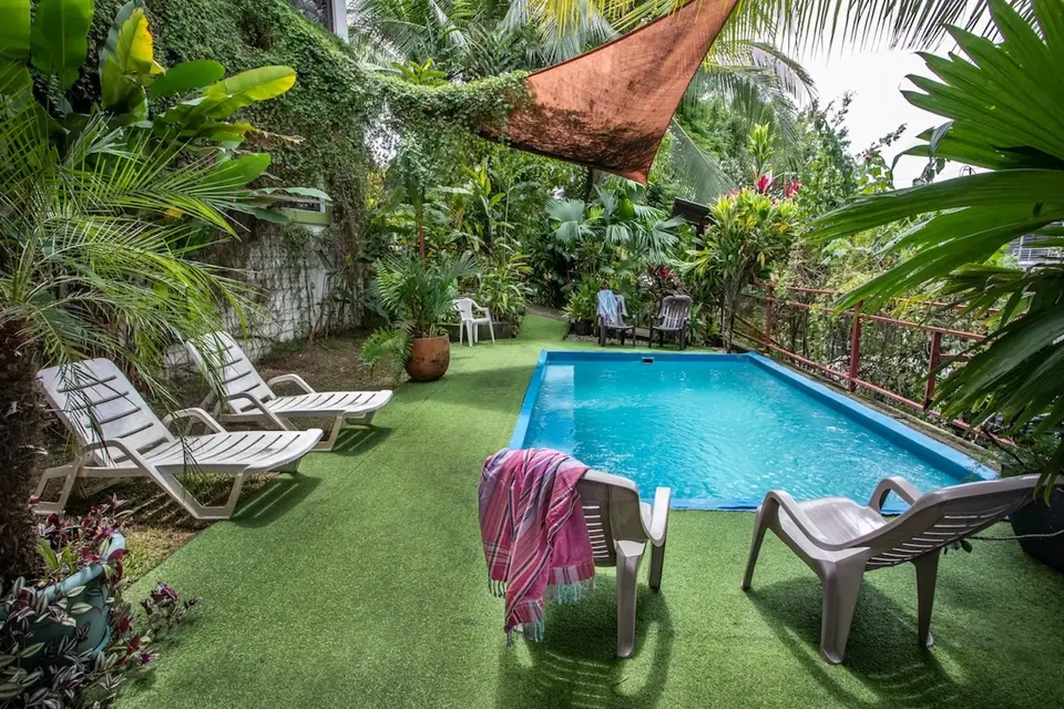 The pool, with white loungers on the turf, an orange shade sail and tropical plants