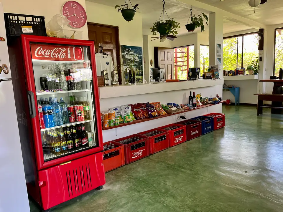 The reception counter and small shop: a drinks fridge and snack shelves