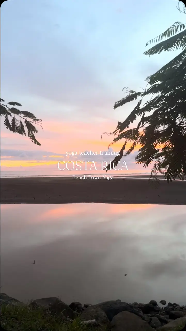 Reel cover: a pink sunset over the Pacific framed by palm leaves