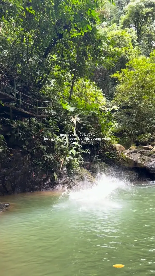 Reel cover: a waterfall pouring into a green jungle pool