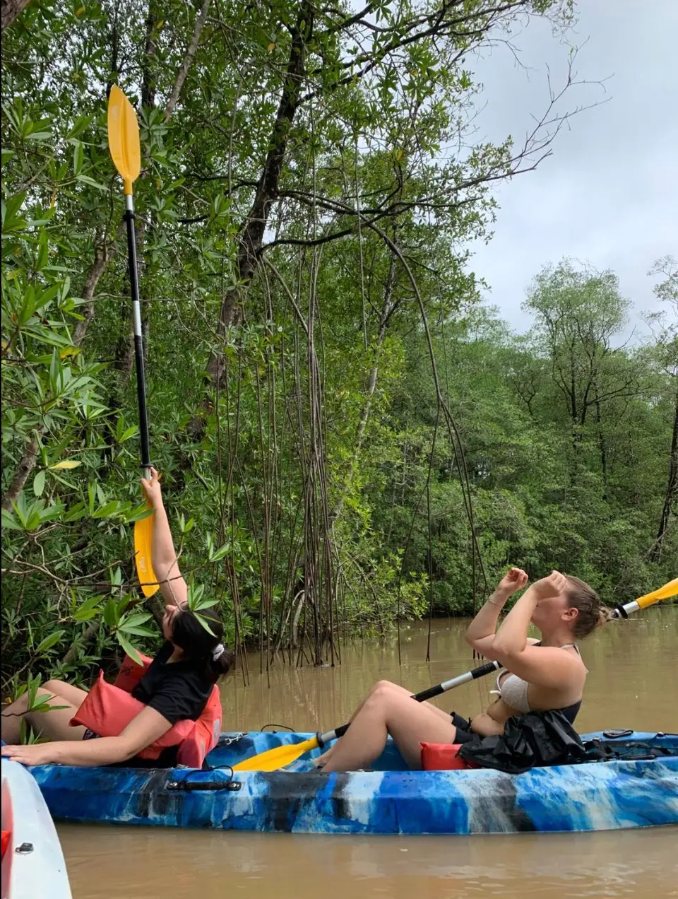 Two women in a blue kayak look up into the mangrove trees, one raising her paddle.